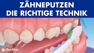 Zähneputzen  Die richtige Technik © [upl. by Akirehs]