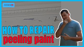 How to repair peeling paintflaky paint [upl. by Acimaj]