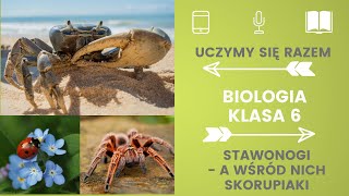 Biologia klasa 6 Stawonogi Uczymy się razem [upl. by Dnomad]