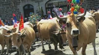 Fête de la transhumance en Aubrac [upl. by Els]