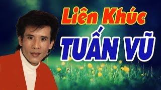 Liên Khúc Tuấn Vũ Trọn Bộ 12345  Lk Tuấn Vũ Chất Lượng Cao Nhất  LIEN KHUC TUAN VU DINH CAO [upl. by Esinwahs]