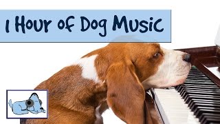 OVER 1 HOUR OF RELAXING DOG MUSIC Music for Dogs Stop Barking Great for Crate Training 🐶 RMD02 [upl. by Avera]