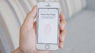 How Does Fingerprint Scanning Work [upl. by Sukhum]