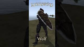 Morrowind Armor Showcase  Steel [upl. by Kacey678]