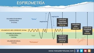 ESPIROMETRIA  Morfofisiología [upl. by Nisay]