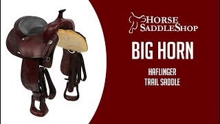 Big Horn Haflinger Saddle Review 1681 [upl. by Iem]