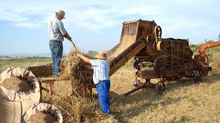 MAQUINARIA AGRÍCOLA tradicional Exhibición y evolución en la recolección de cereales  Documental [upl. by Akirdnas488]