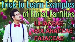 Amazing Tricks to Learn Examples of Families Solanaceae Liliaceae amp Fabaceae  NCERT Mnemonics [upl. by Yenmor]