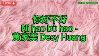 Ni hao bu hao 你好不好 黄家美 Desy Huang Karaoke [upl. by Oleic]