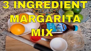 How To Make Margarita Mix  Easy Margarita Recipe [upl. by Aneerahs]