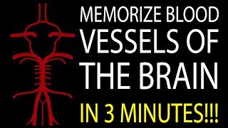 MNEMONIC Brains Blood Supply MEMORIZE in 3 Minutes [upl. by Neelon]