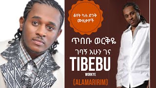 Tibebu Workye  Gebagn Ahun Gena  Ethiopian Music [upl. by Anawd]