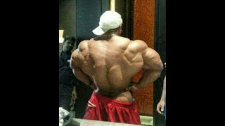 Roelly Winklaar Back Training Compilation  World Bodybuilder Workout [upl. by Anawqahs314]