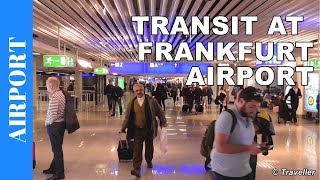 TRANSIT WALK AT FRANKFURT Airport FRA Terminal 1  Connection Flight Transfer Arriving amp Departing [upl. by Hpseoj]