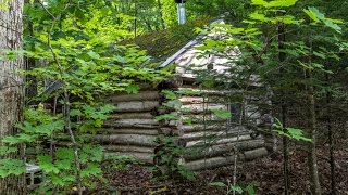 How to Build an Off Grid Log Cabin For FREE [upl. by Nailluj627]