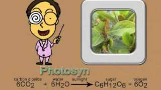 Photosynthesis song new and complete version [upl. by Houghton]