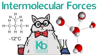 What are Intermolecular Forces [upl. by Hochman]