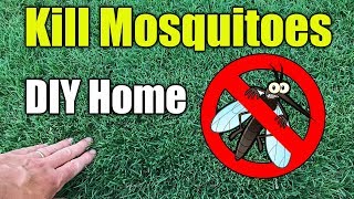 Mosquito Control Home and Yard Spraying [upl. by Aniehs]