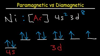 Paramagnetic vs Diamagnetic  Paired vs Unpaired Electrons  Electron Configuration [upl. by Neelasor]